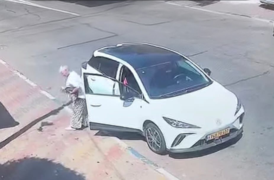 רינגו נעלם באור עקיבא: אישה העלתה אותו לרכב ונסעה המשפחה מבקשת את עזרת הציבור